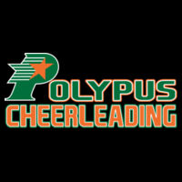 Polypus Cheerleading - Hero - Hoodie 60/40 Design