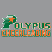 Polypus Cheerleading - HERO - Round Neck Sweater 60/40  Design