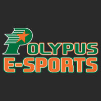 Polypus E-Sports - HERO - Round Neck Sweater 60/40  Design