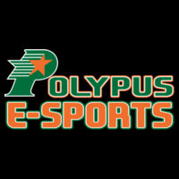 Polypus E-Sports - Hero - Hoodie 60/40 Design