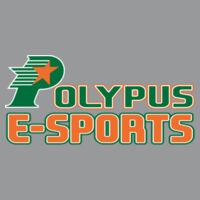 Polypus E-Sports - HERO - Round Neck Sweater 60/40  Design
