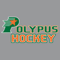 Polypus Hockey - HERO - Round Neck Sweater 60/40  Design