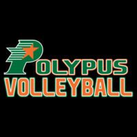 Polypus Volleyball - Hero - Hoodie 60/40 Design